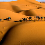 3 days desert tour from Fes