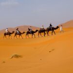 10 Days Grand tour from Casablanca