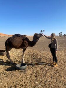 Best time to visit Morocco experiences